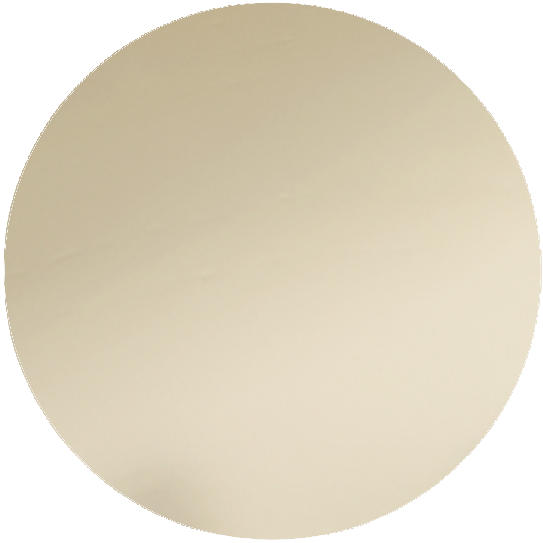 Basic Color: White, Yellow, Color: Black-Cherry, Gloss-Black
